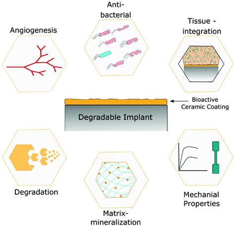 Recent Advancements in Materials and Coatings for Biomedical 